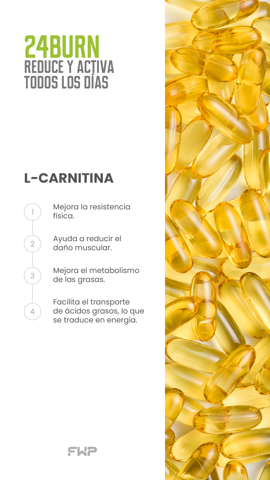 24Burn suplemento para bajar de peso con ingredientes 
   naturales y energía sostenida