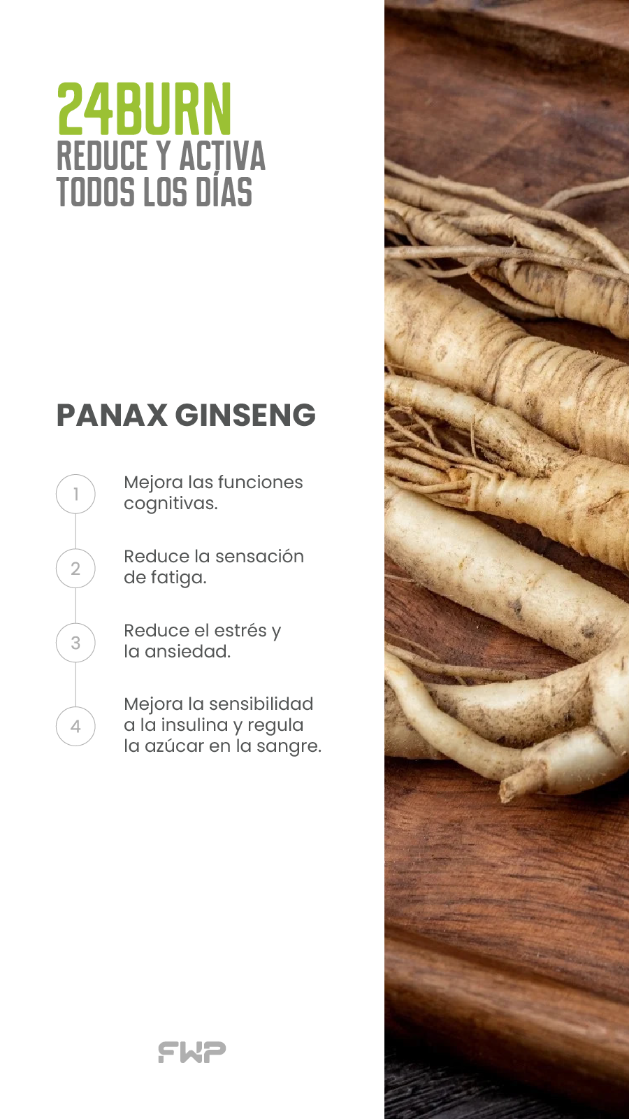 24Burn suplemento termogénico con té verde, L-carnitina 
   y ginseng para quemar grasa y aumentar energía