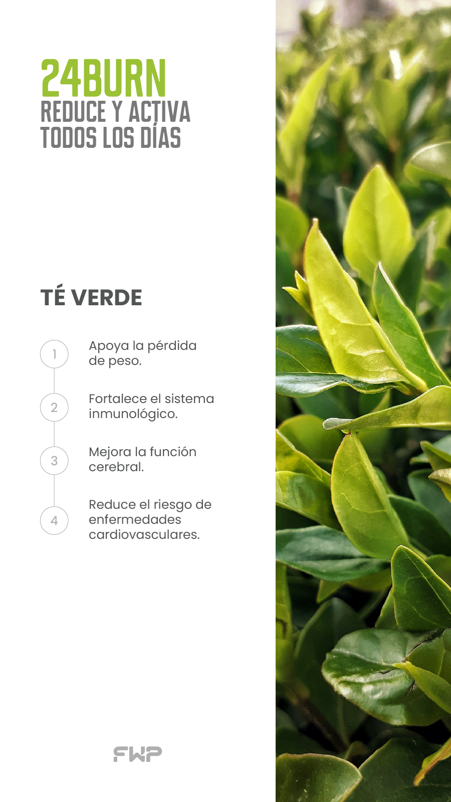 24Burn quemador de grasa natural con guaraná y vitaminas 
   B para metabolismo activo