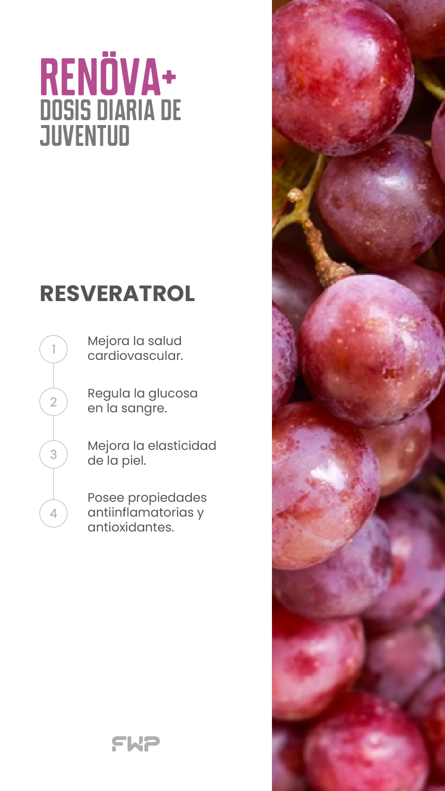 Renova Plus suplemento antienvejecimiento con colágeno 
   y antioxidantes para piel firme e hidratada